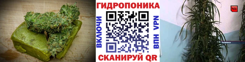 кракен tor  продажа наркотиков  Азнакаево  Печенье с ТГК марихуана 