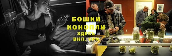 ПСИЛОЦИБИНОВЫЕ ГРИБЫ Абдулино