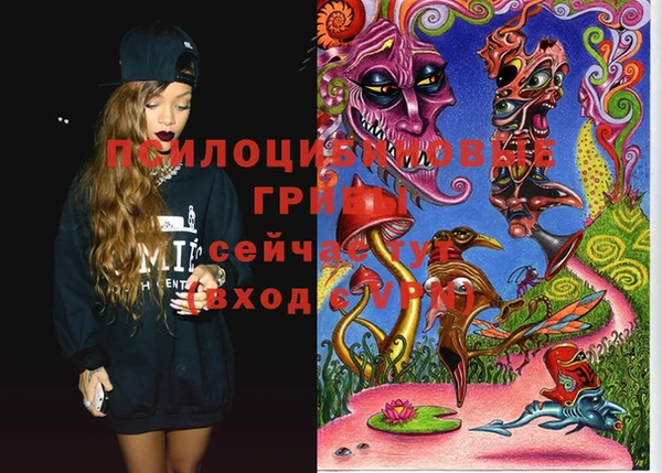 ПСИЛОЦИБИНОВЫЕ ГРИБЫ Абдулино